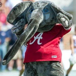 Meet your Posher, Kelyn